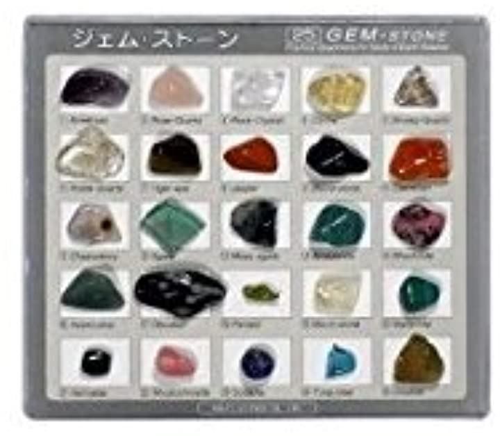 東京サイエンス ジェムストーン宝石鉱物標本25種コレクション Gemstones25