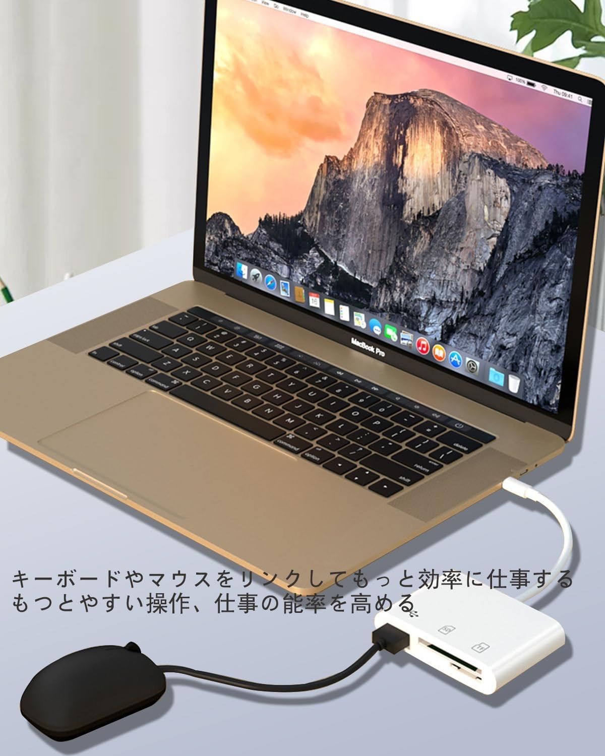 Phone SDカードリーダー 3in1 SDカードカメラリーダー USB/SD/TF変換アダプタ 写真/ビデオ/資料 双方向高速データ転送 データ移行  設定不要 プラグアンドプレイ SD カード リーダー Phone/Pad/IOSと互換性あり - メルカリ