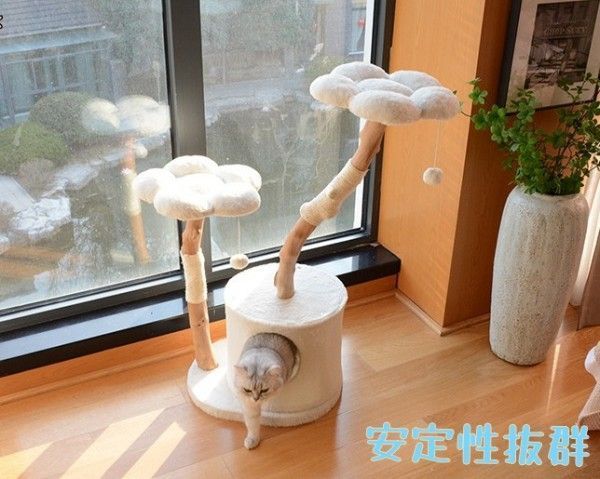 おしゃれ 大型猫