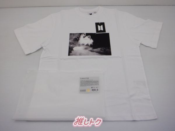 BTS V Tシャツ LAYOVER GRAY TAN ヨンタン テヒョン M BTS V テテ LAYOVER ヨンタンTシャツ Mサイズ 新品 - メルカリ