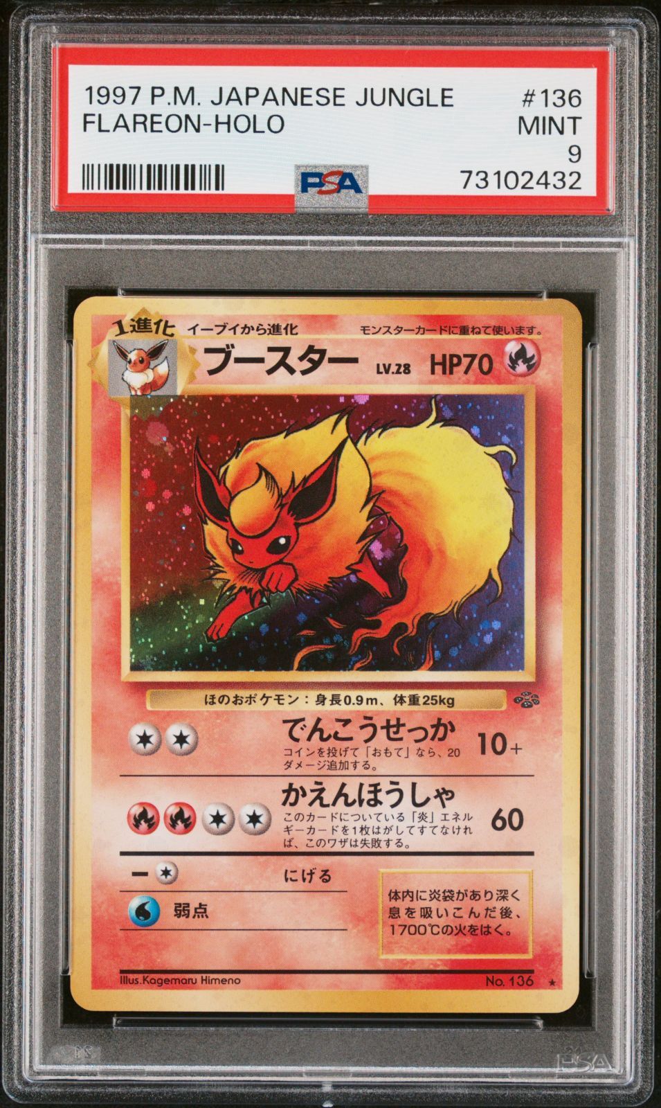 旧裏 ブースター PSA9 ジャングル-