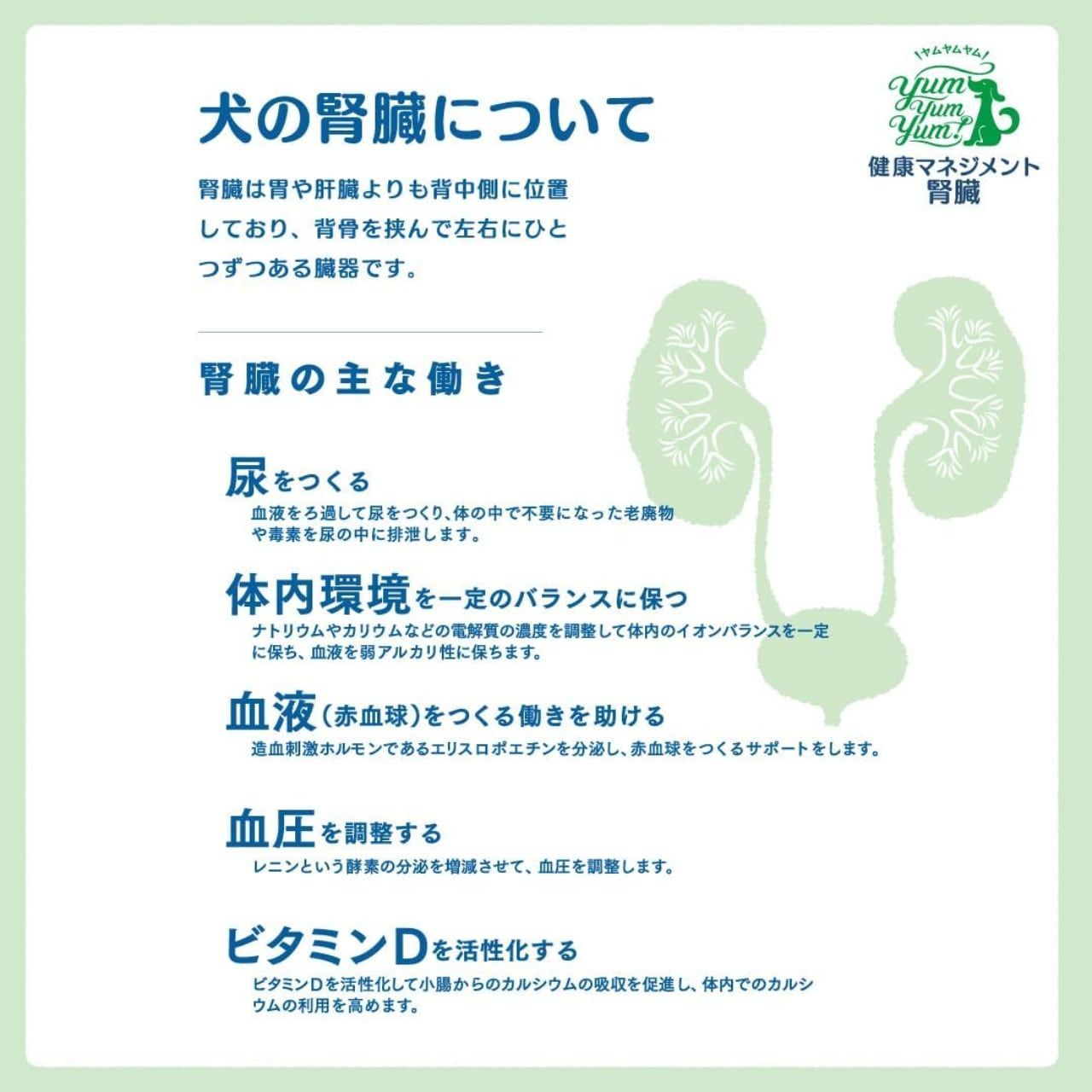 健康マネジメント腎臓サポート 犬用 食事療法食 ちょこっとパック 50g×6 無添加 国産 ヤムヤムヤム yum yum yum！