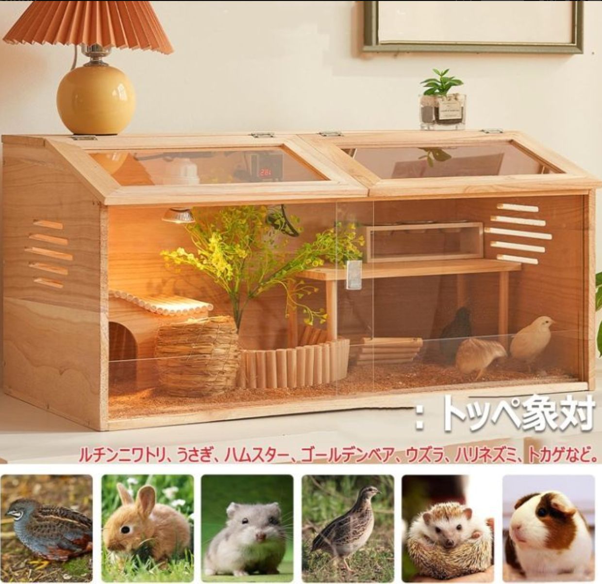ウズラ