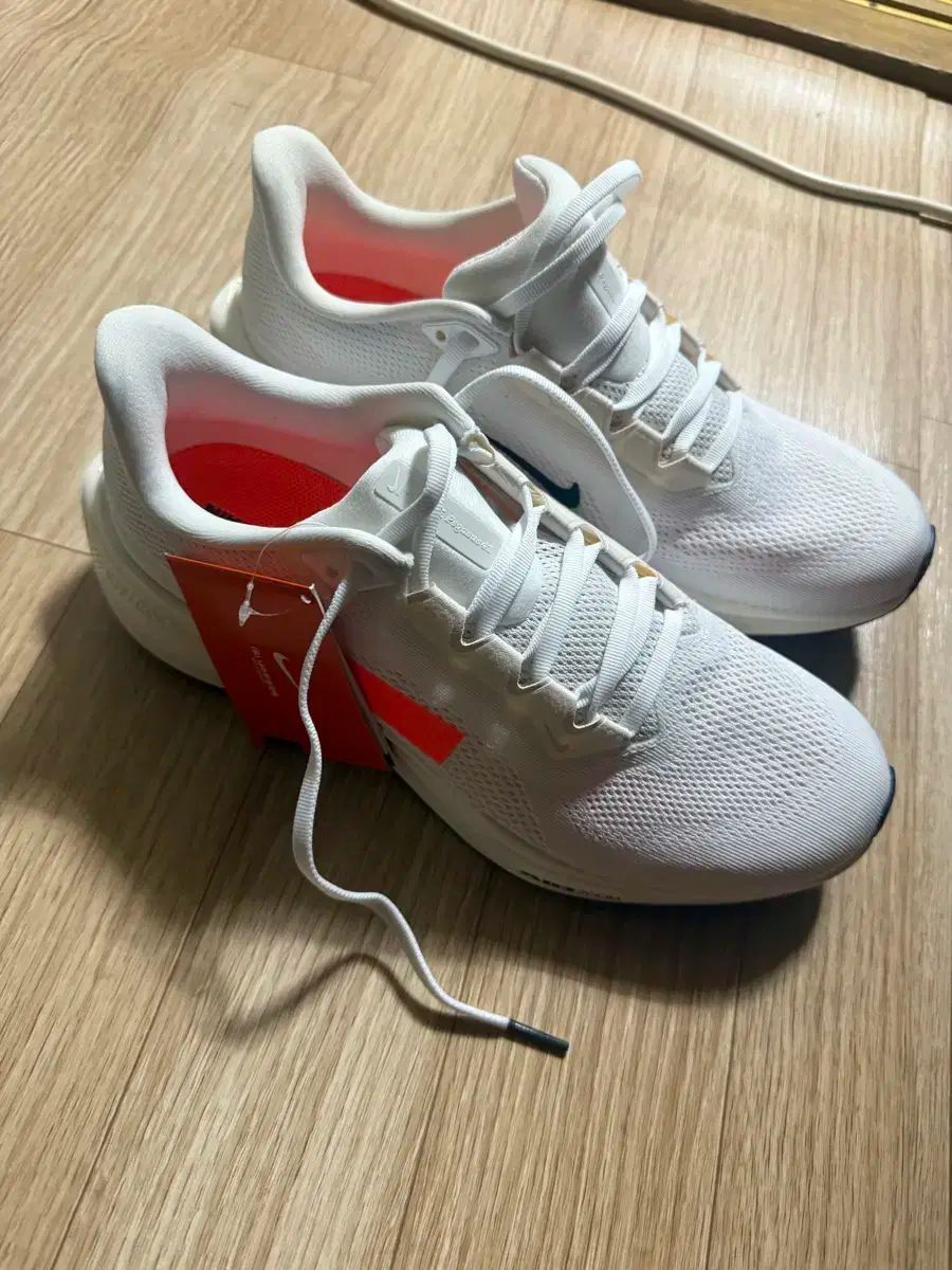 NIKE ナイキ ペガサス 41PQ ランニングシューズ 265