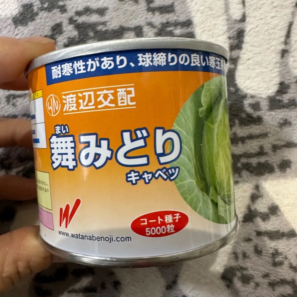 寒玉キャベツ 舞みどりコート種子 1缶 5000粒