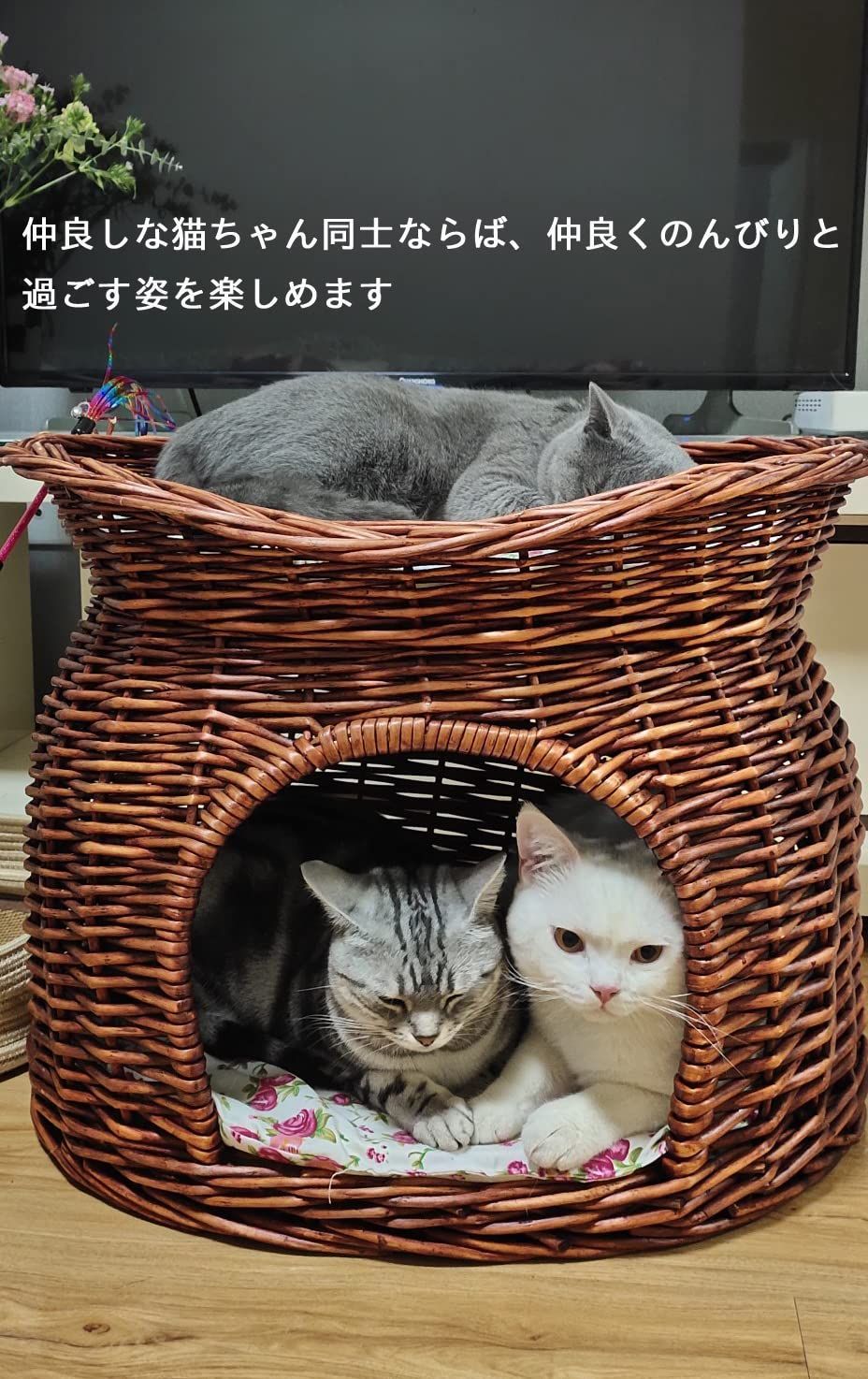 ブラウン