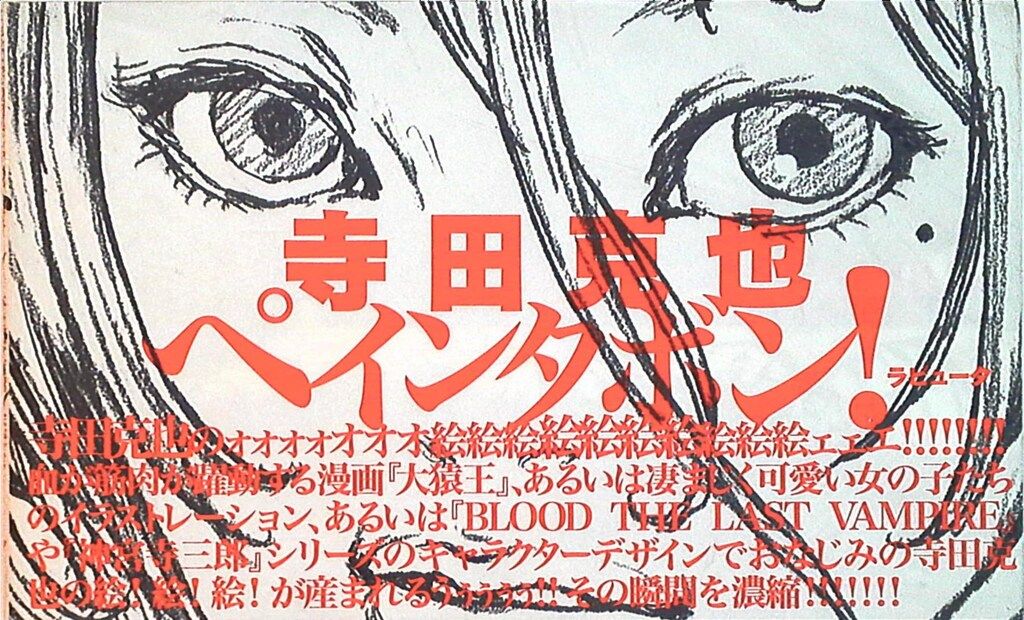 ラピュータ 寺田克也 ペインタボン!