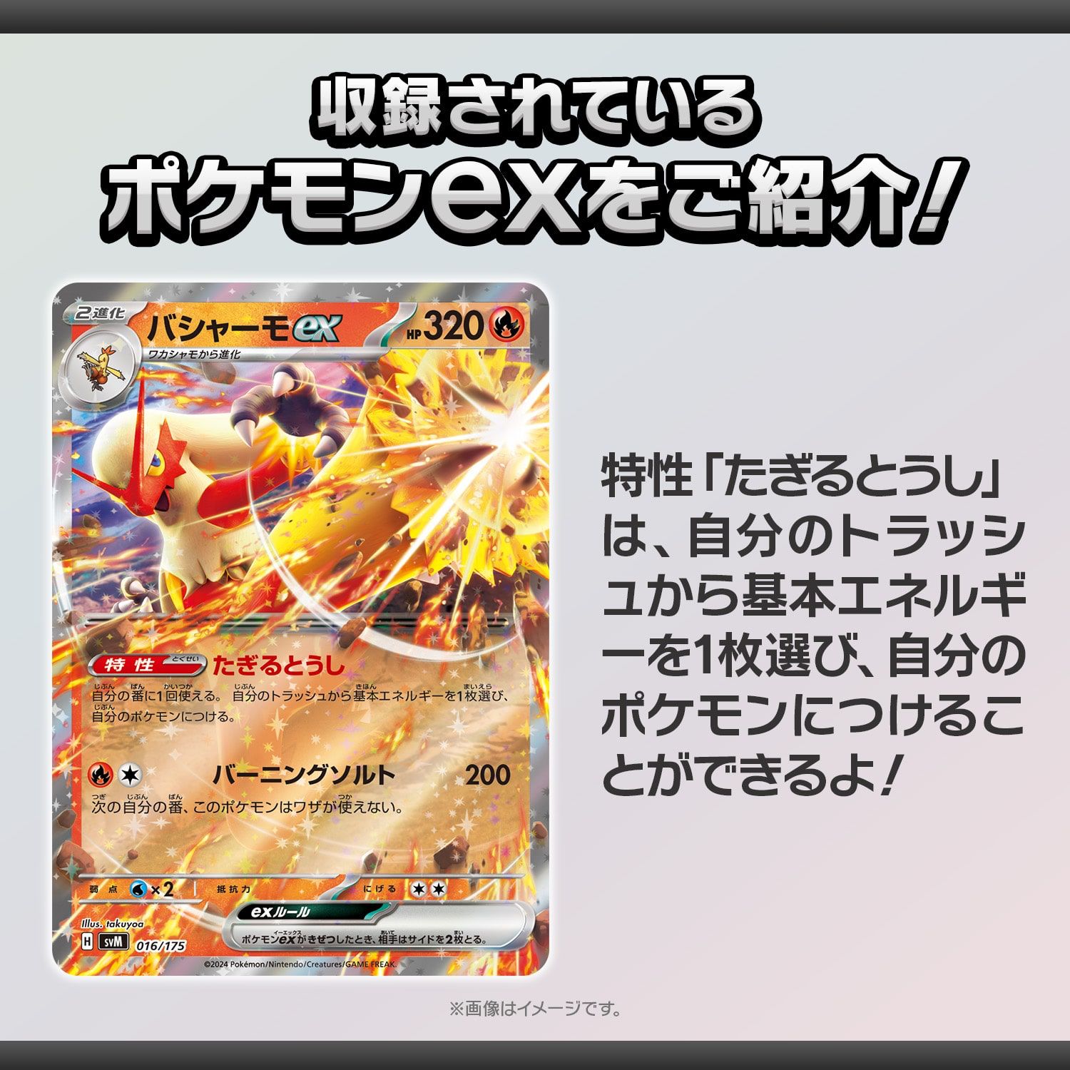 ポケモンCG スカーレット＆バイオレット スタートデッキ