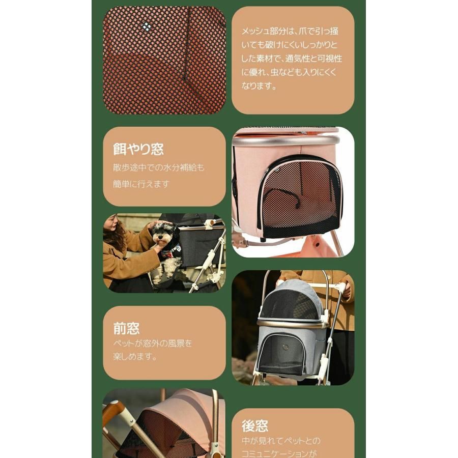 中型犬
