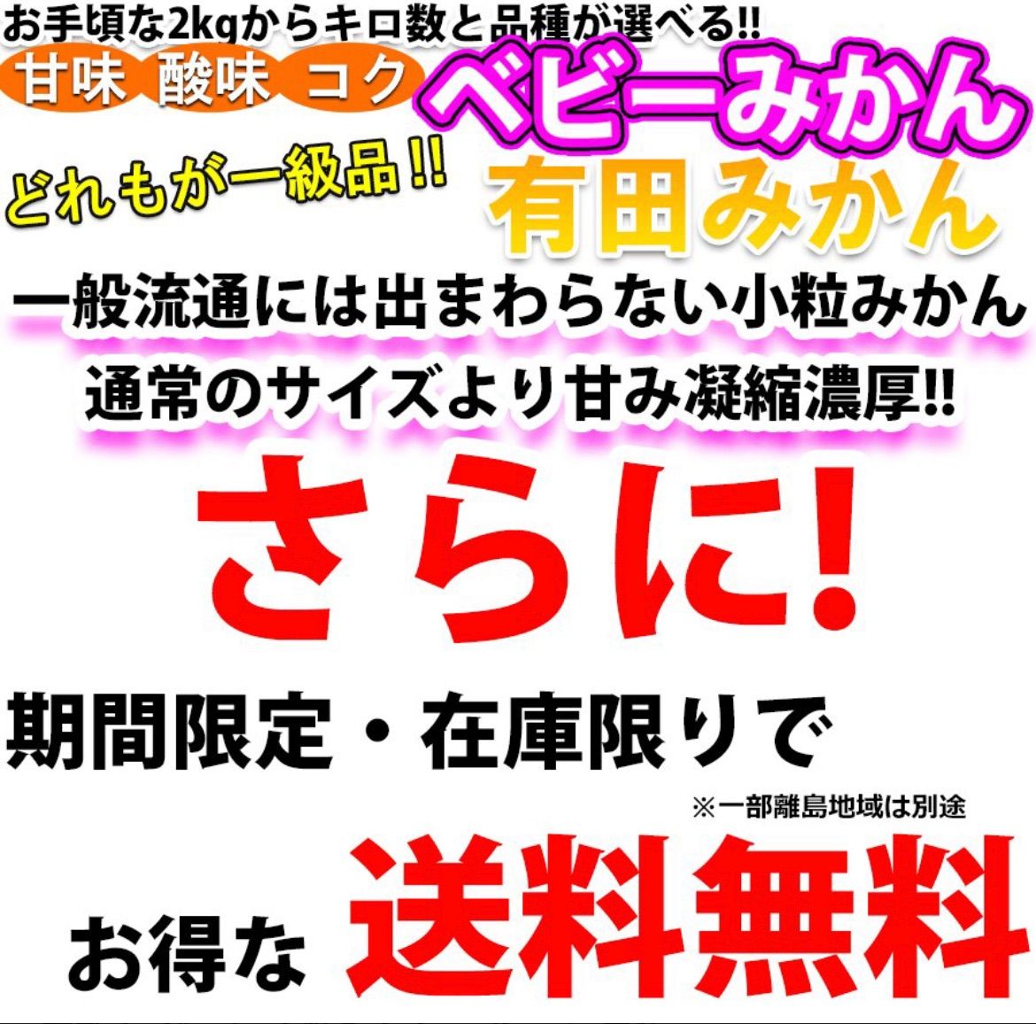 (12月中旬頃発送予定商品)  激レア小粒直径4.5cm前後 和歌山有田みかん 2kg