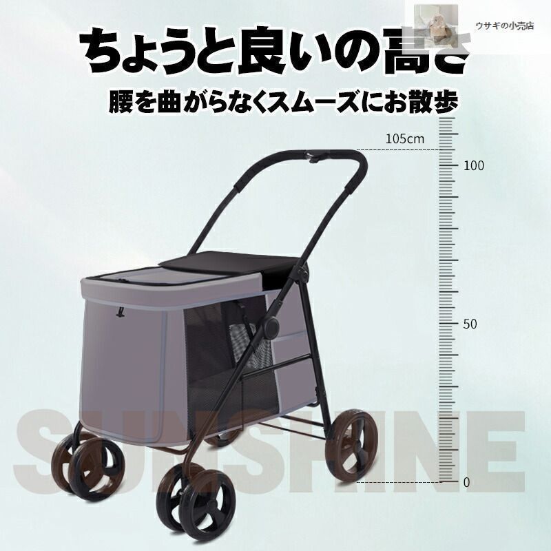 バギー