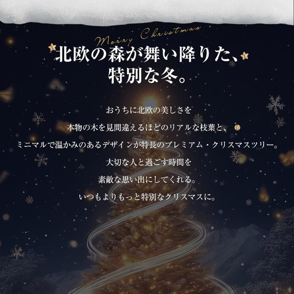 オーナメント無し