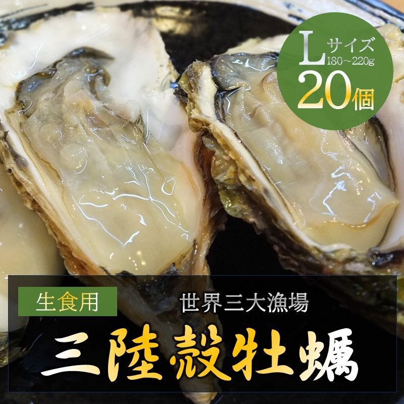 生食用 かき 世界三大漁場 三陸殻牡蠣 Lサイズ 選別 20個 春 夏 旬 限定販売 石巻 新鮮 産地直送 牡蠣ナイフ 軍手 説明書き 付き 熨斗対応 贈り物 にも