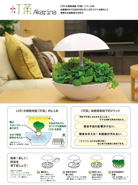 野菜栽培キット