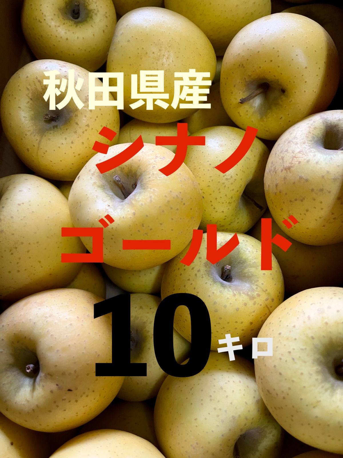 TEZ プレミアムバージンインディアンマスタードオイル 475ml×12本 油 TEZ プレミアムバージンインディアンマスタードオイル 475ml×