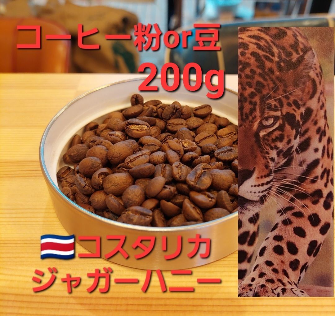 コーヒー粉orコーヒー豆100g グアテマラSHB - コーヒー