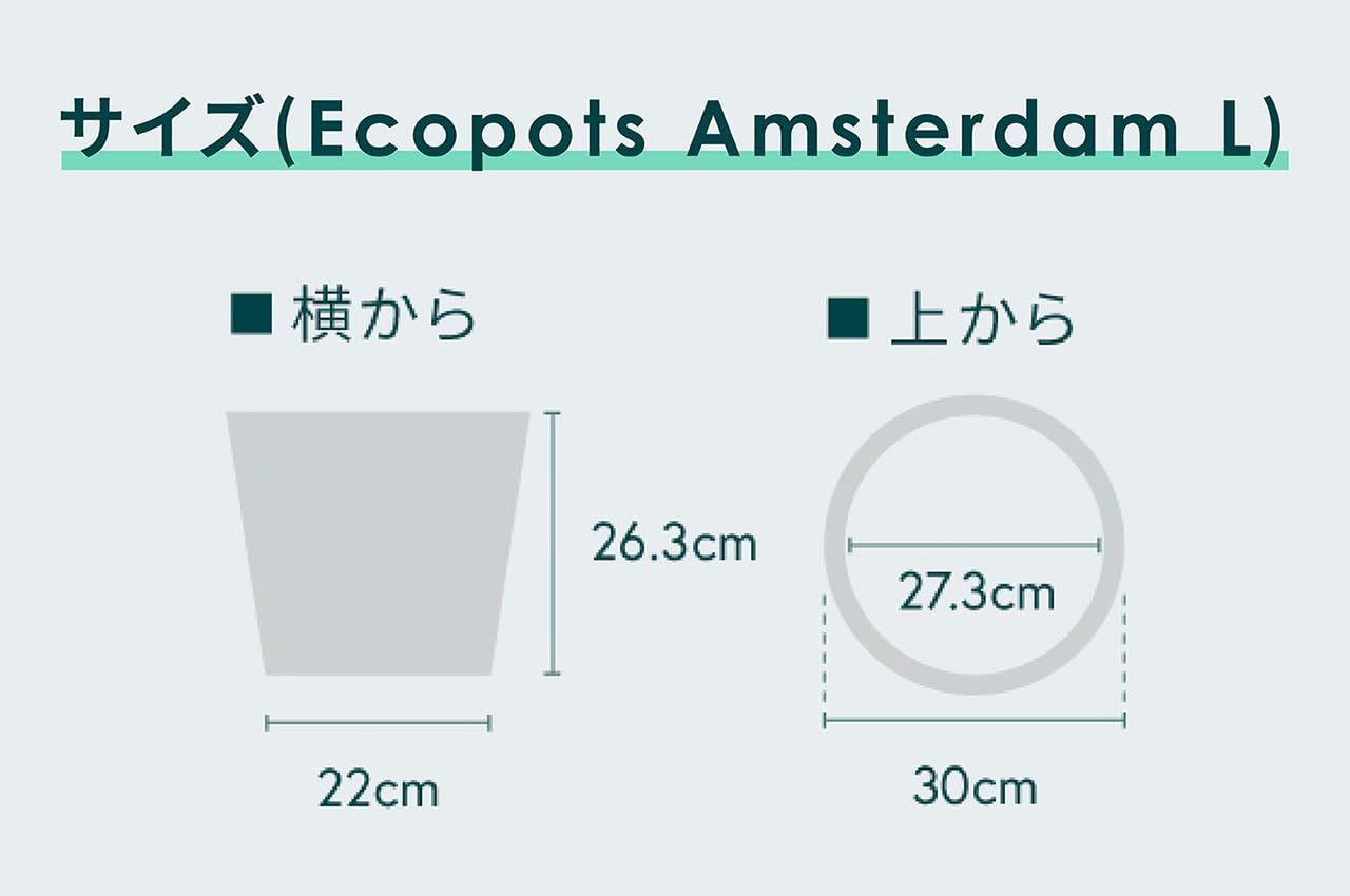 彡PLANTS AND