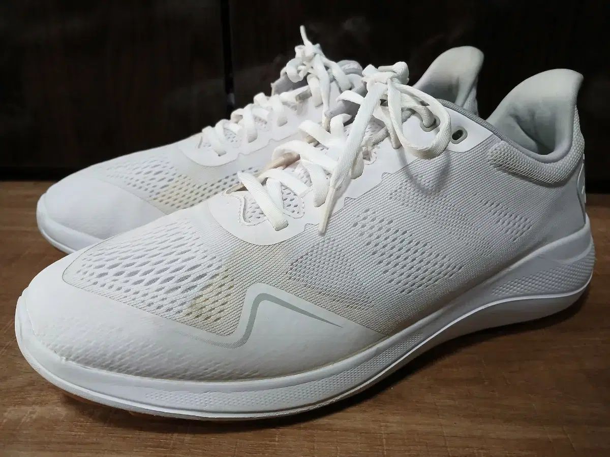 FootJoy フットジョイ ゴルフシューズ 285mmm