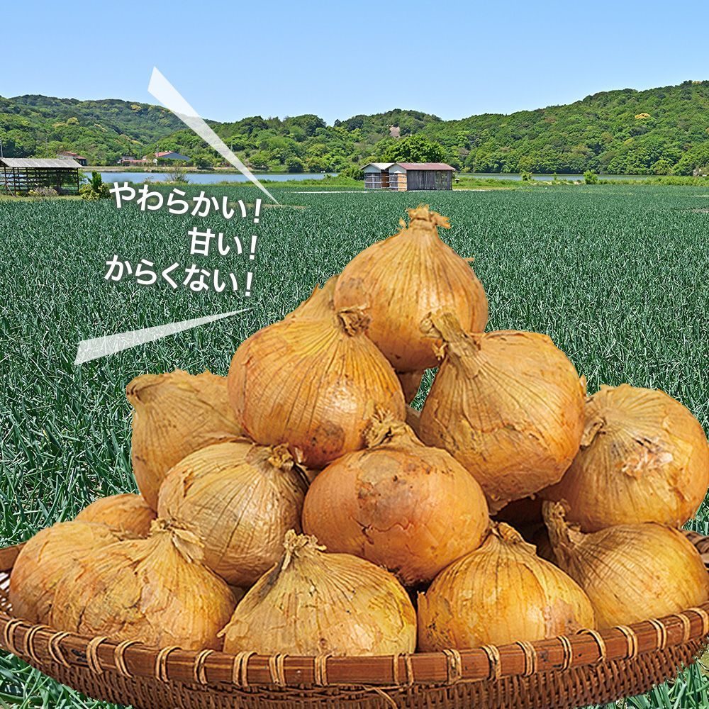 新たまねぎ にんじん約3kg