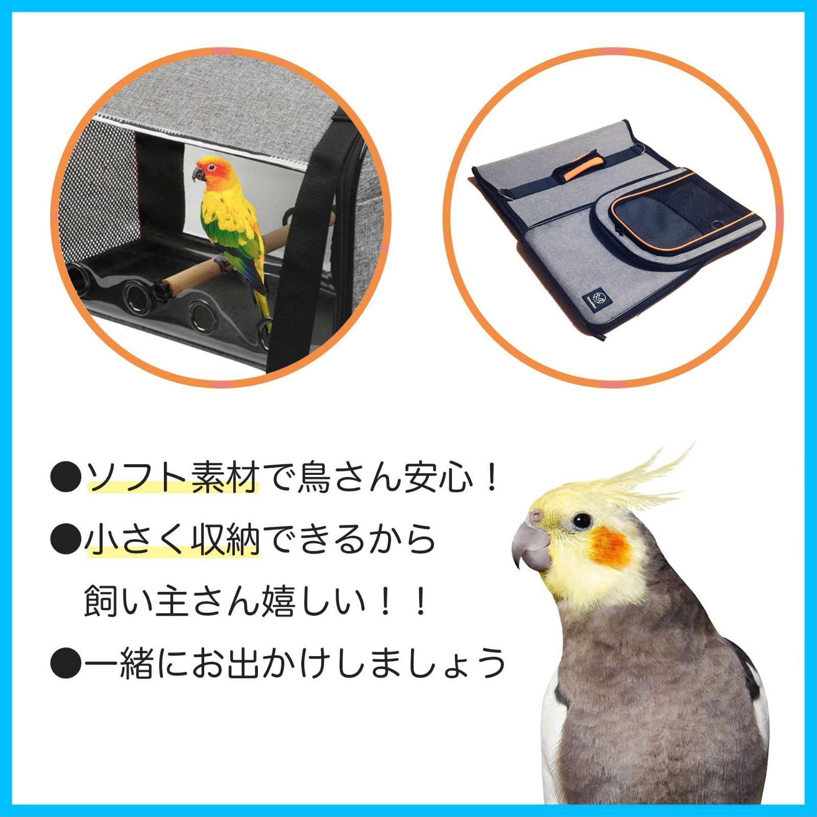 キャリー バッグ