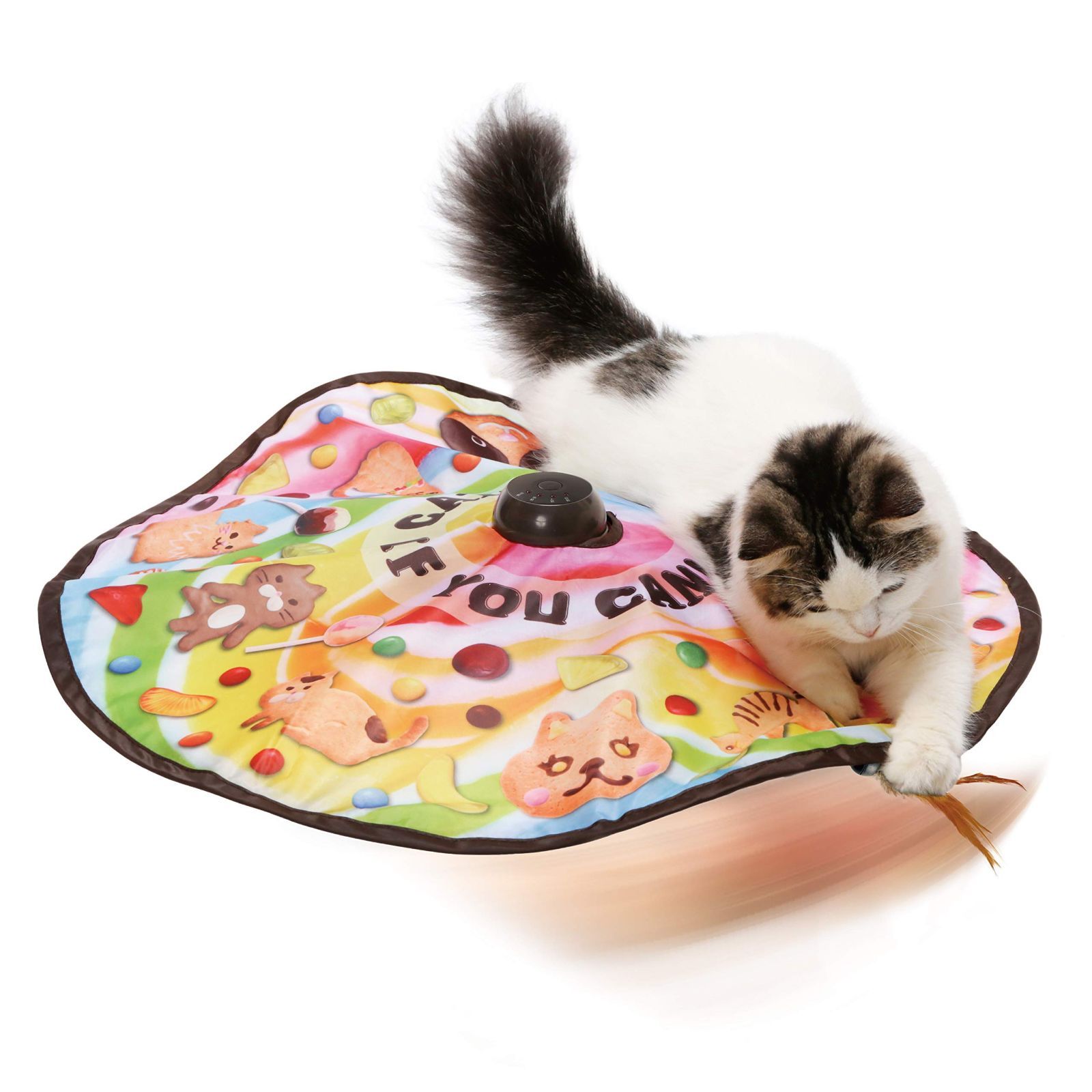 売切注意 お急ぎ下さい 猫壱 necoichi キャッチ ミー イフ ユー キャン2 猫用電動おもちゃ