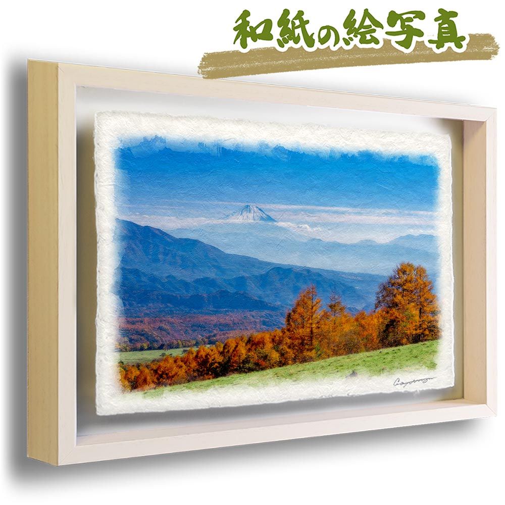 シーグラスアート☆No.370 図鑑 海の生き物 父の日 ギフト