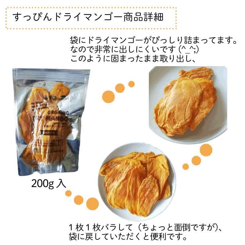 最高級⭐️フィリピン産ドライマンゴー 500g 検 ドライフルーツ c