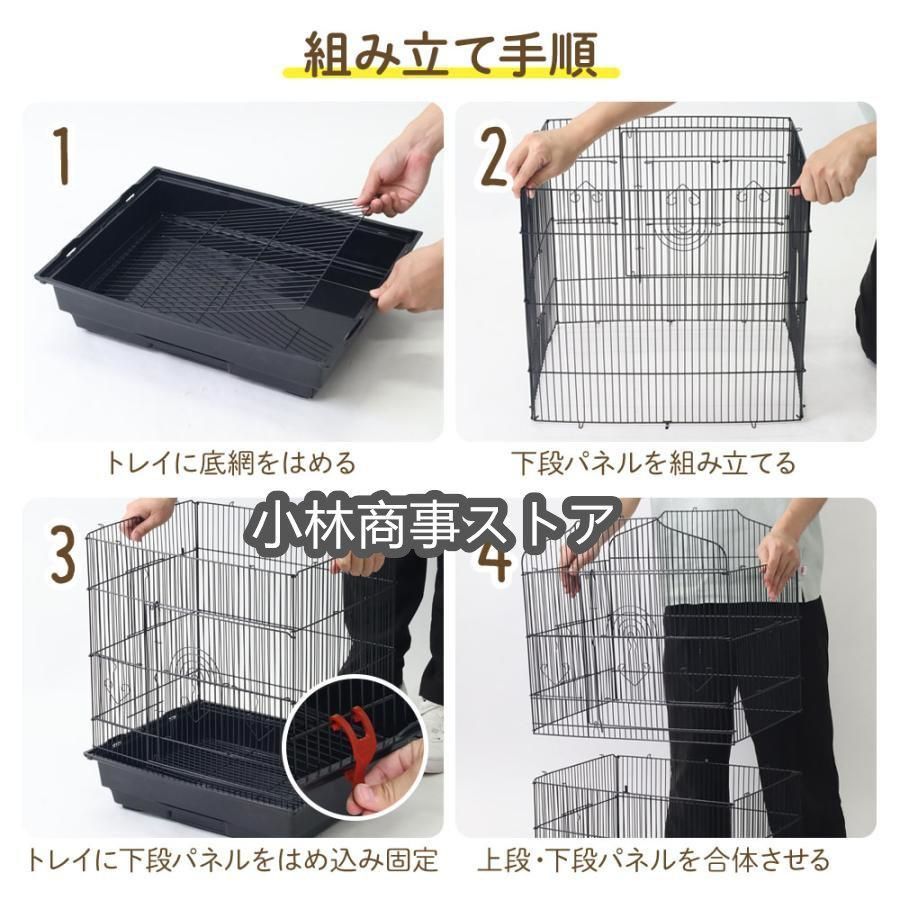 小鳥