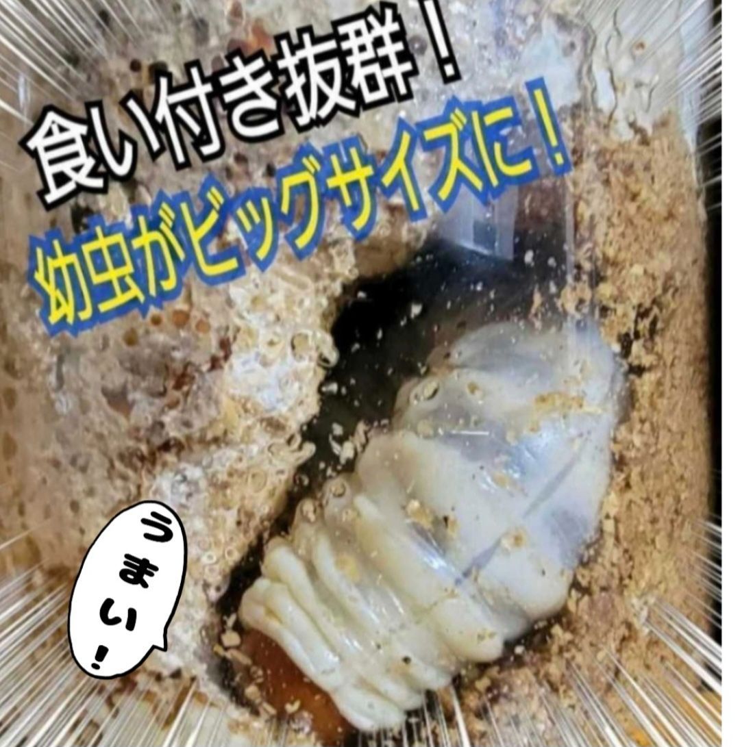 昆虫用品 特大サイズ カワラタケ 菌糸瓶 【3本セット】タランドゥス