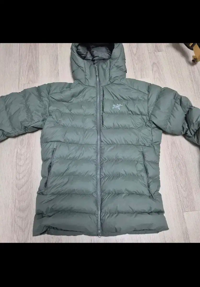 パイロット 万年筆 2015年限定万年筆 グランセ 珊瑚 限定版 中字 M