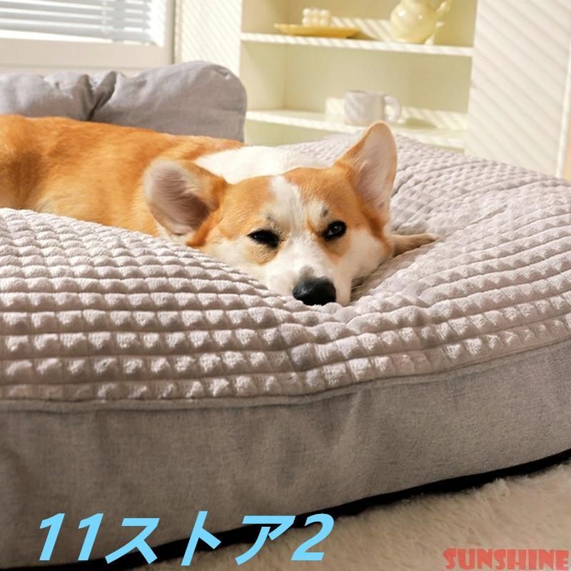 柴犬