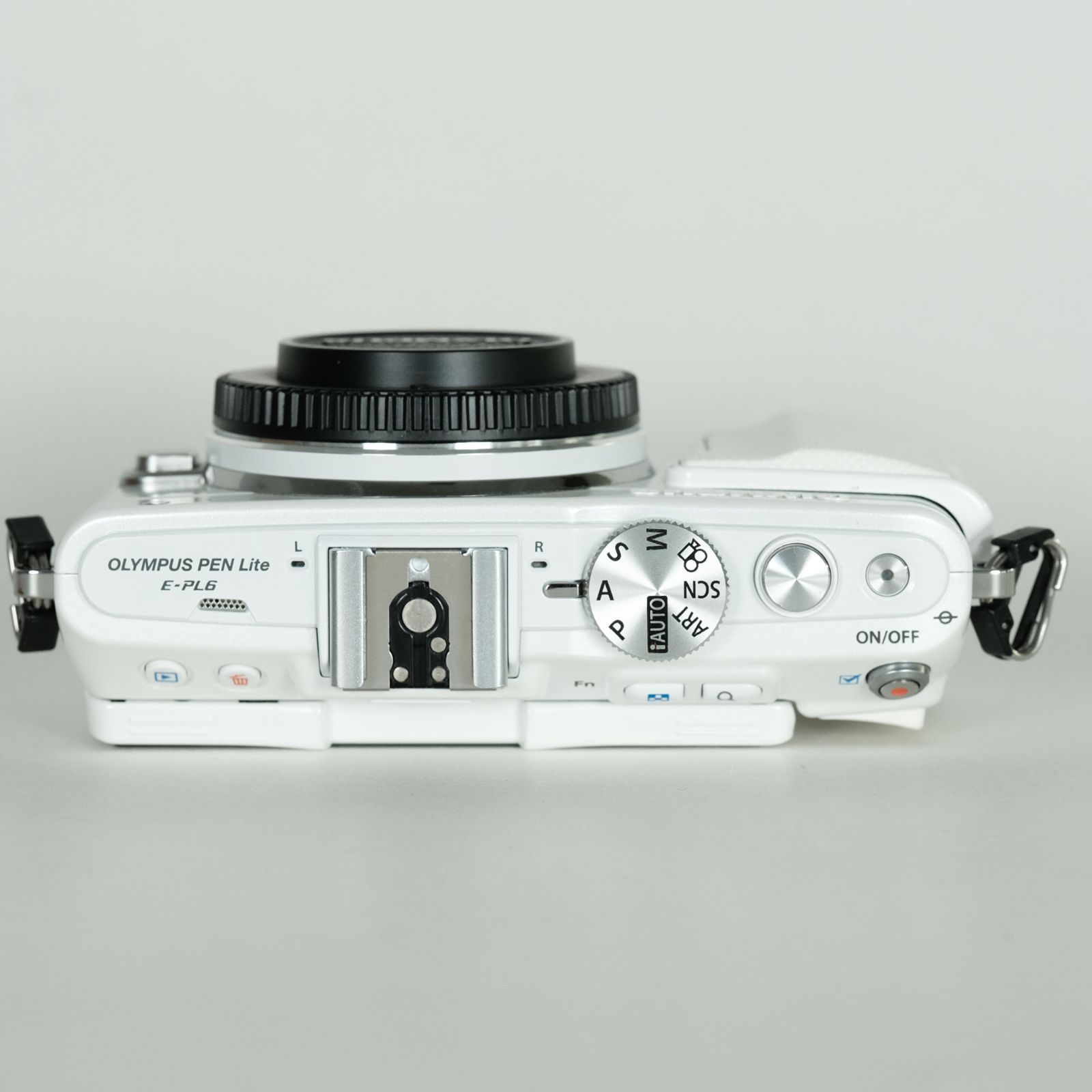 ボディ ホワイト