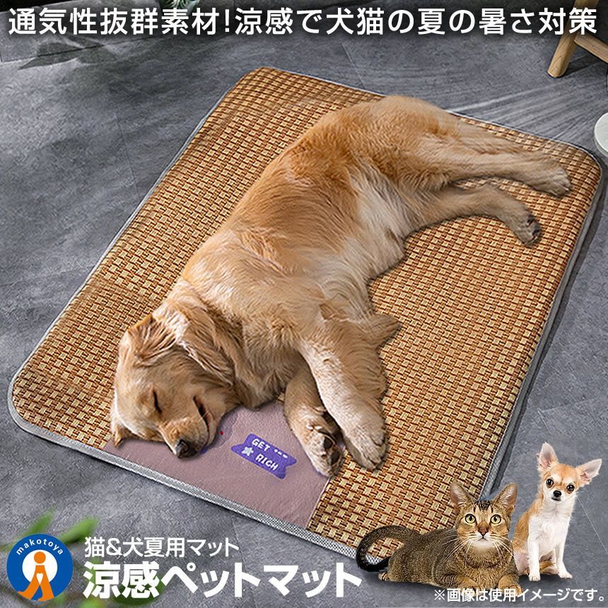 犬