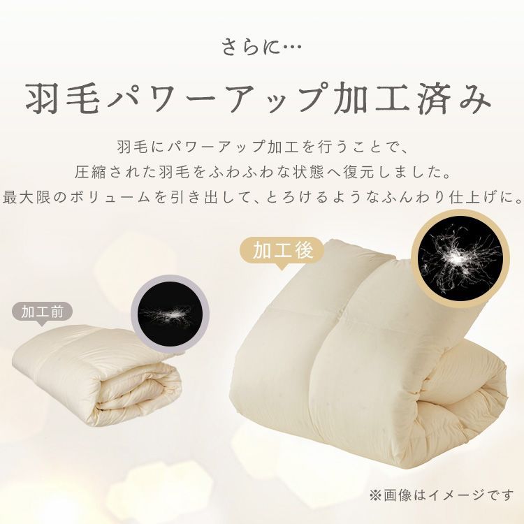 シングルロング 冬