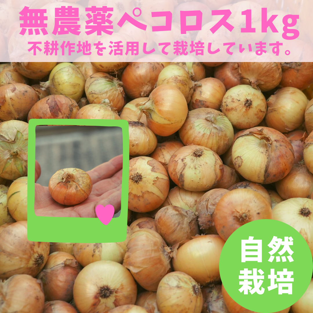 メルカリshops 無農薬ペコロス ミニ玉ねぎ 1kg