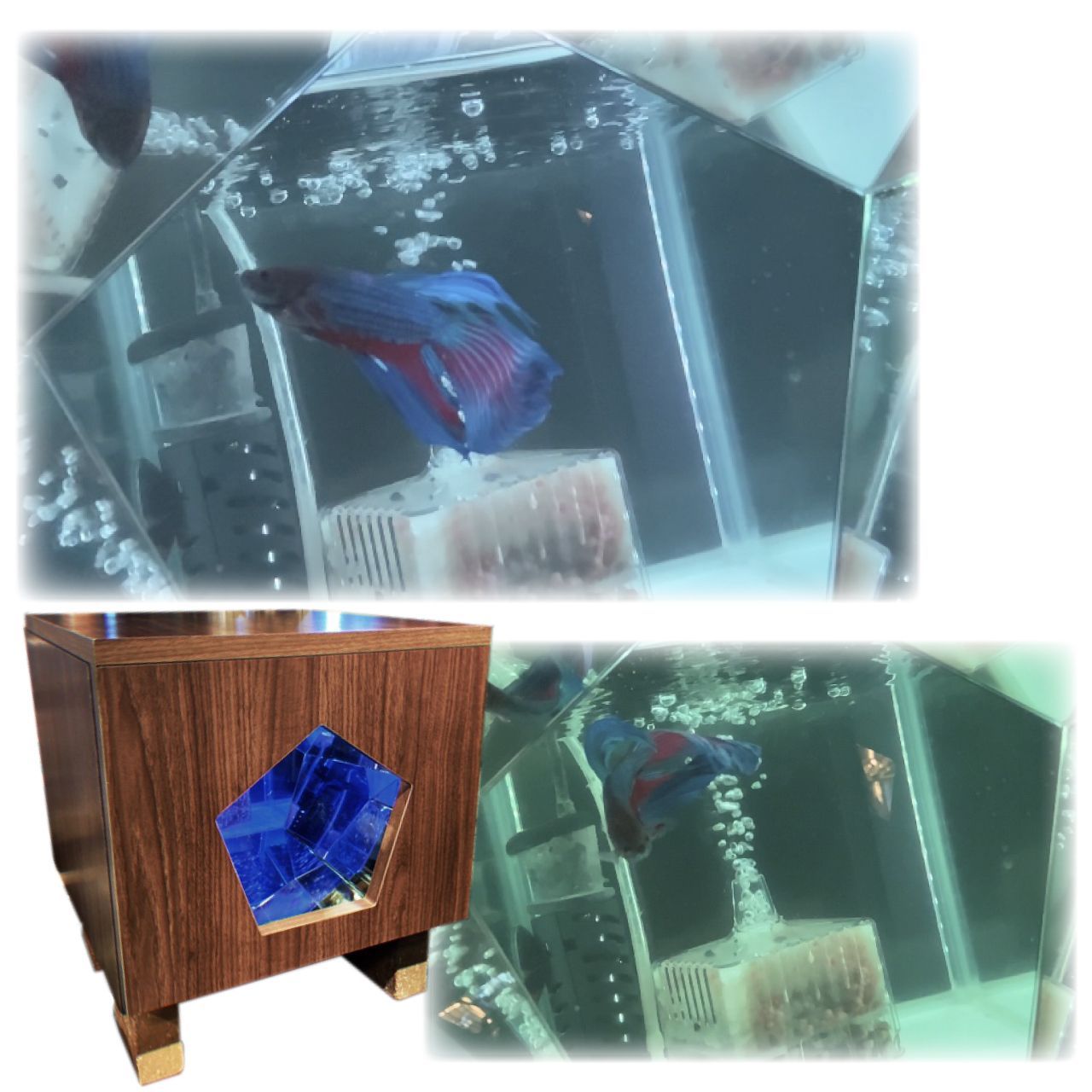 【お値下げ】イルミネーション万華鏡水槽 イルミネーション万華鏡水槽 - メルカリ