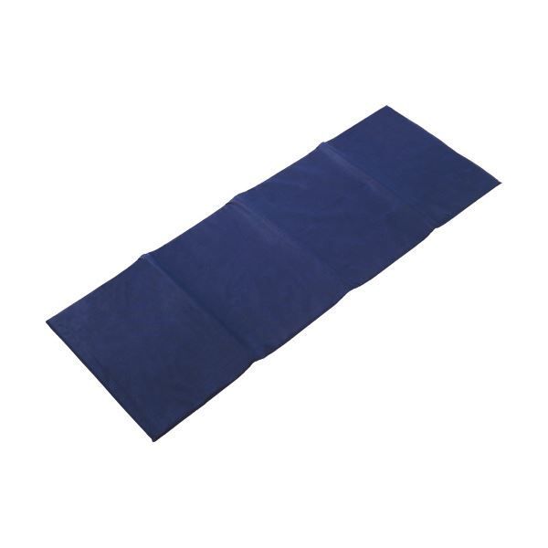 大津コーポレーション 災害用備蓄マット70×200×2cm BM17310 1箱 10枚
