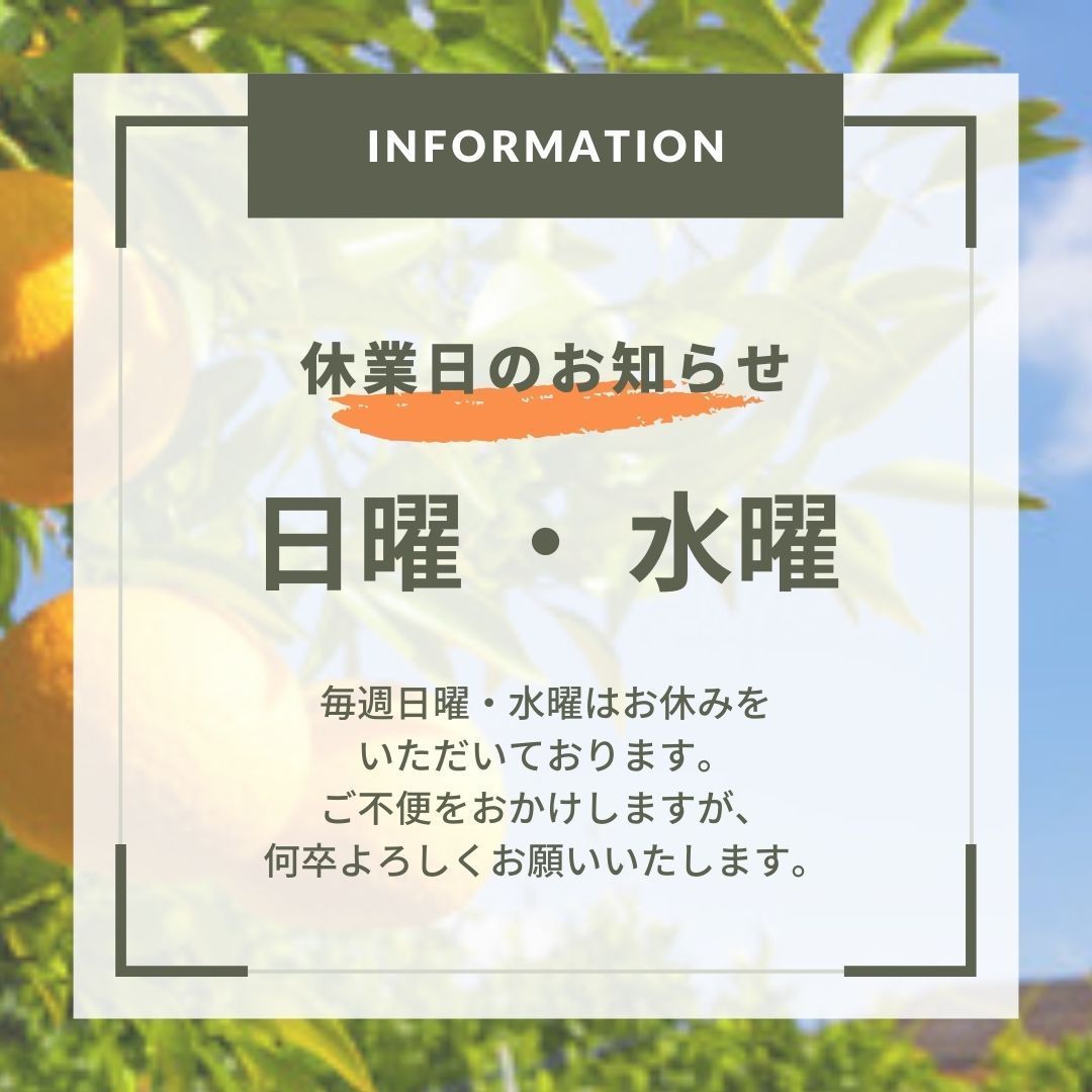【訳あり】河内晩柑　みしょうゴールド　１０ｋｇ