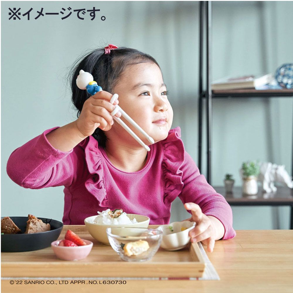 ケース付