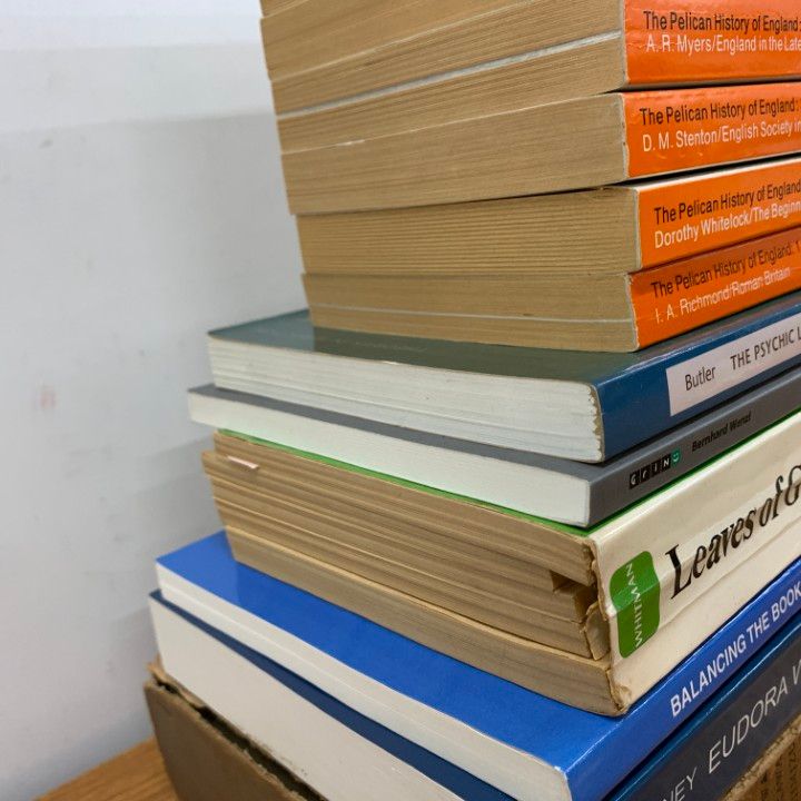児童書　英語　12冊セット　洋書まとめ売り 71fpBlfEeGL._UF350,350_QL50_.jpg