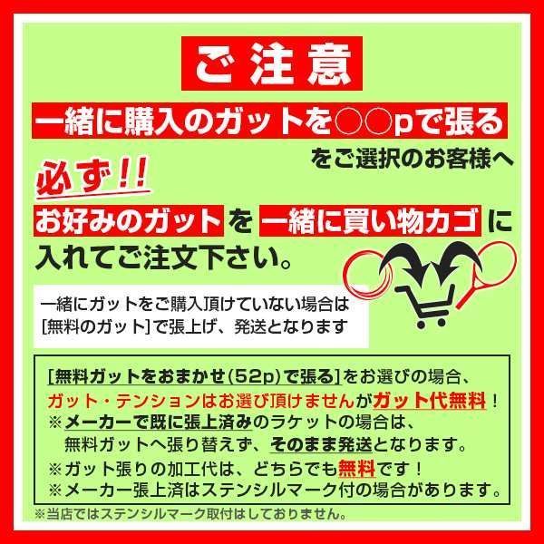 フォルクル(Volkl) 2024 Vostra V9 ボストラ V9 (305g) 日本正規代理店