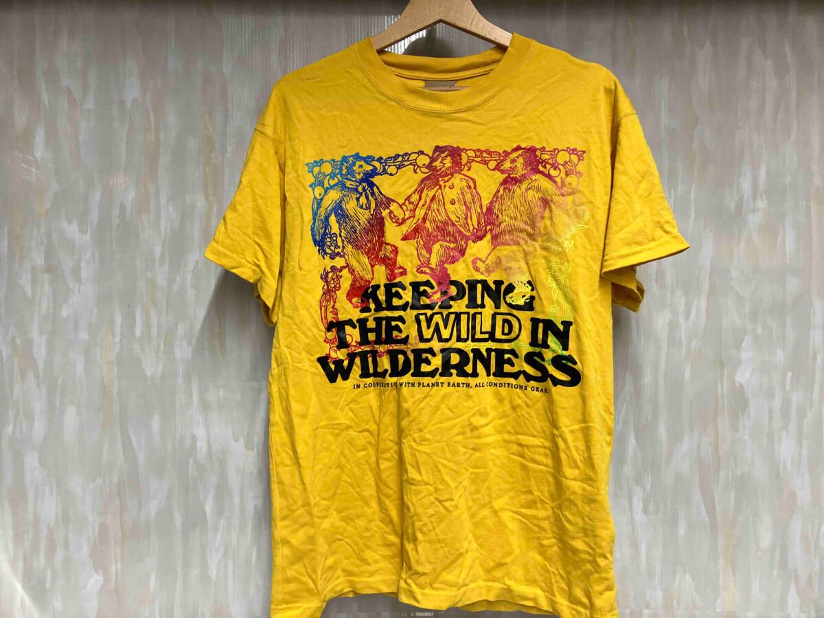 NIKE ACG ナイキ 半袖Tシャツ イエロー KEEPING THE WILD IN WILDERNESS Mサイズ