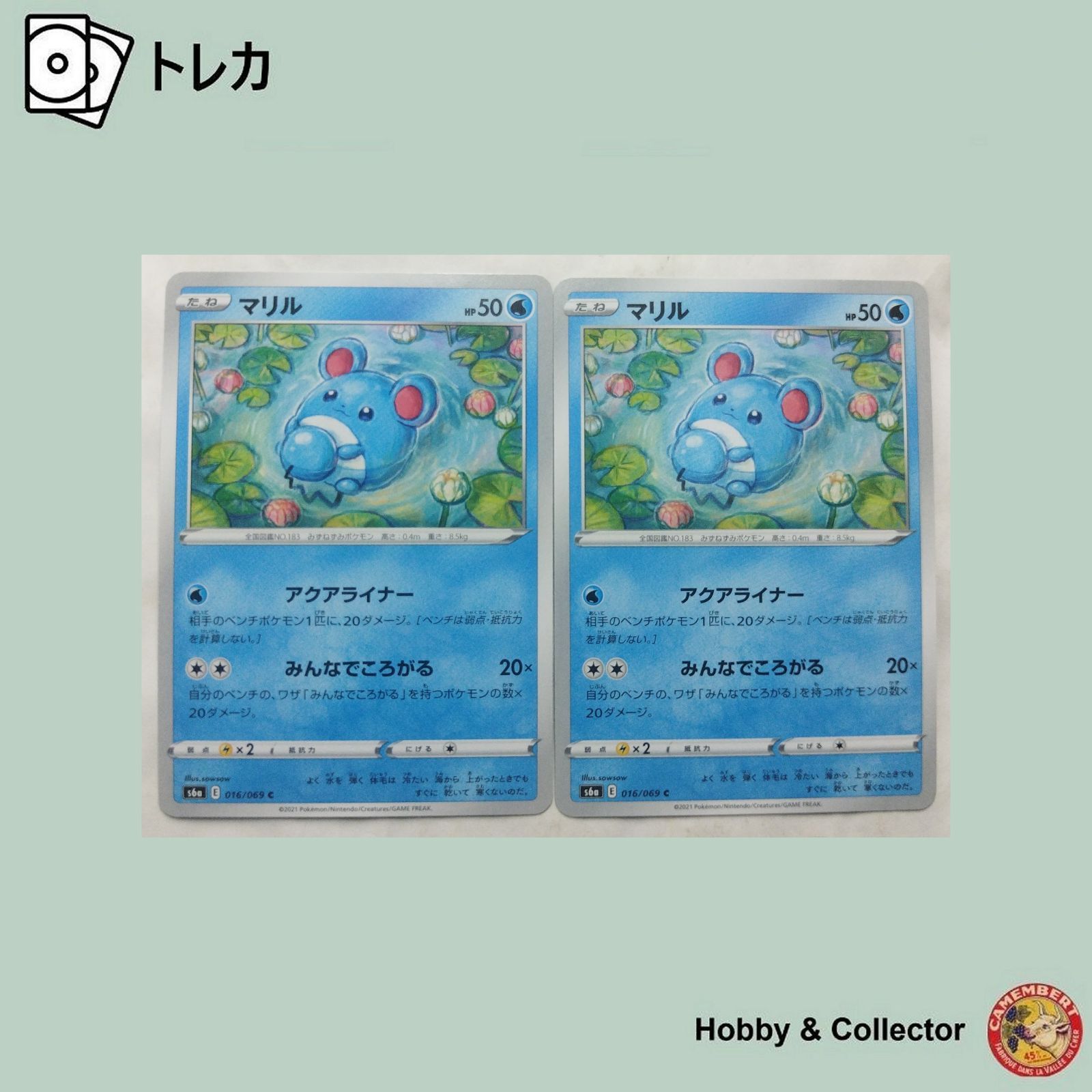 PSA10 マリル 1枚 UMLポケモンカードe アンリミテッド 第2弾