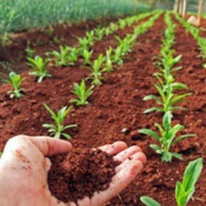 UbiBot RS485 Soil Temperature and Moisture Sensor Stainless Soil Probe for GreenhouseGardenLawnFarmSoil Temperature Humidi STEELWINDOWSANDDOORS_COM