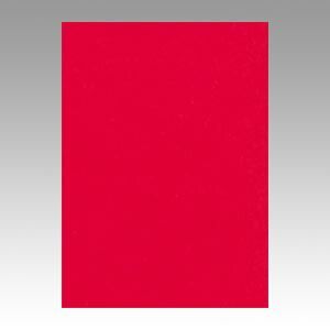 （まとめ） 色画用紙 文運堂 ニューカラーＲ 赤 4NCR-317 4954022643171 1冊【×5セット】 10,108円