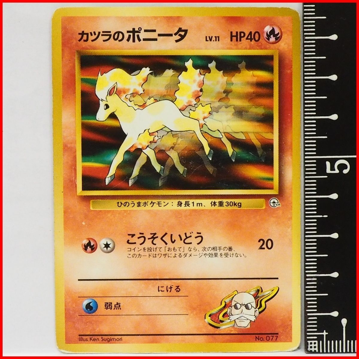 旧裏ポケモン カードゲーム ポケモンジム第3弾グレンタウンジム