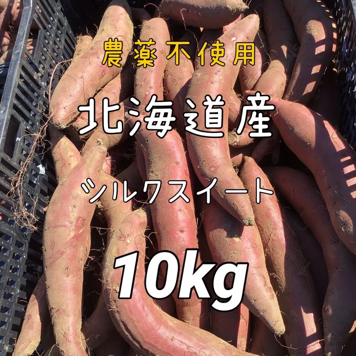 熟成！北海道産栗山町ファームうかわ 訳ありさつまいも シルクスイート