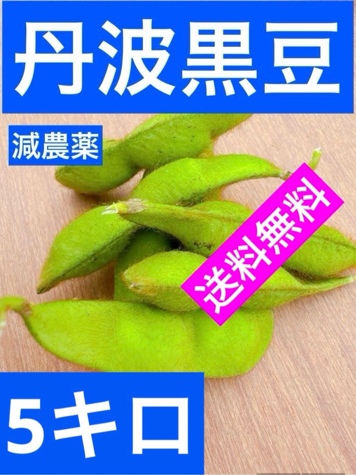 丹波黒枝豆 5キロ 枝豆 黒豆 丹波大黒豆 熟成 丹波黒枝豆 さや 1.5kg