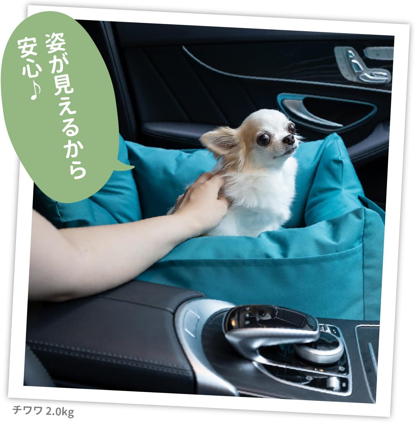 ブラック 犬用
