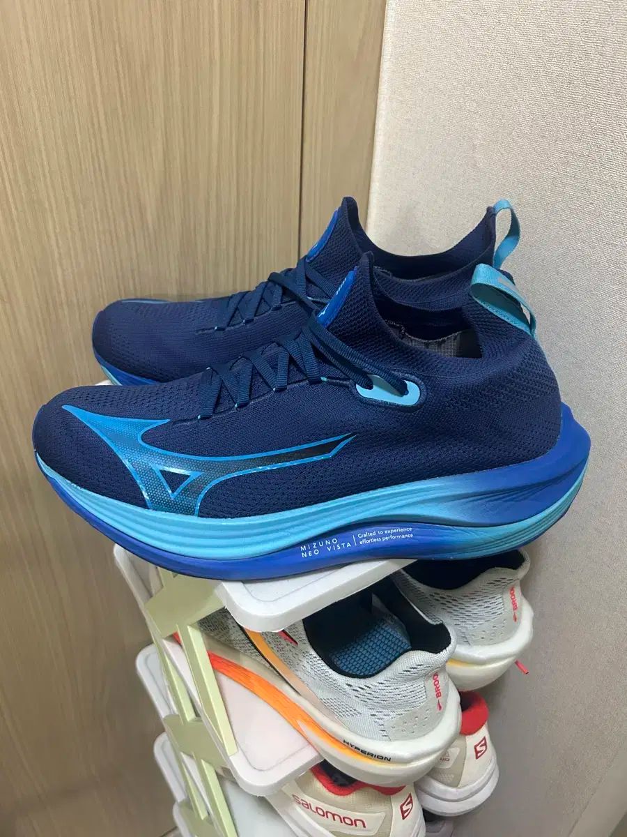 mizuno ミズノ ネオビスタ 280